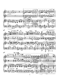 Schafe können sicher weiden von Johann Sebastian Bach 