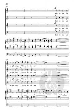 Hark! The Herald Angels Sing (Mack Wilberg) 