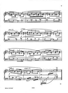 Blätter und Blüten von Max Reger 