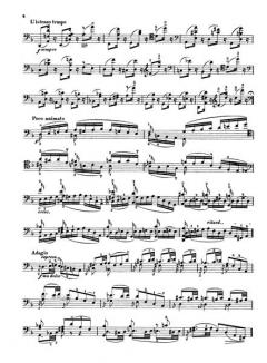 Caprice in Form einer Chaconne op. 43 von Julius Klengel 