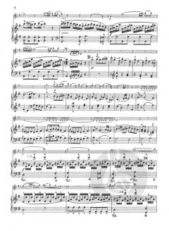 Sonata In G For Violin And Piano K.301 von Wolfgang Amadeus Mozart im Alle Noten Shop kaufen