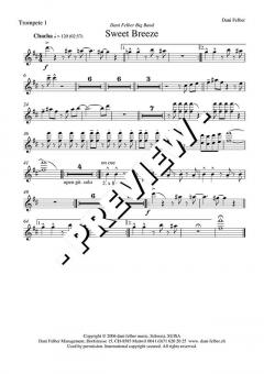 Sweet Breeze - DOWNLOAD (Dani Felber) 