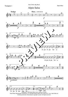 Alpin Salsa - DOWNLOAD (Dani Felber) 