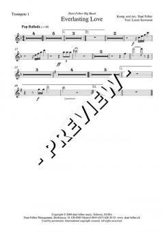 Everlasting Love - DOWNLOAD (Dani Felber) 