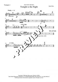 Tonight Is The Night (Dani Felber) 