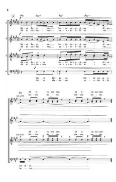 To The Mothers In Brazil: Salve Regina (Lars Jansson) 