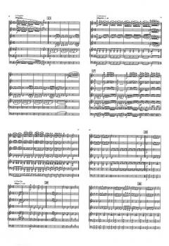 Orpheus Fantasy (Jacques Offenbach) 