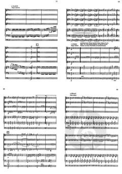 Le Petit Carnaval des Animaux (Camille Saint-Saëns) 