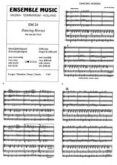 Dancing Horses (Jan van der Goot) 