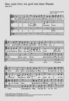 Herr, mein Gott, wie gross (Andreas Hammerschmidt) 