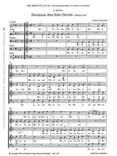 Hosianna dem Sohn Davids (Andreas Raselius) 