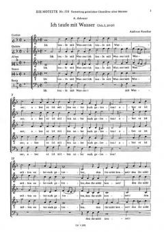 Ich taufe mit Wasser (Andreas Raselius) 