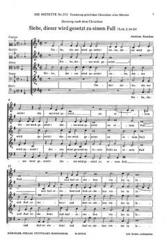 Siehe, dieser wird gesetzt zu einem Fall (Andreas Raselius) 