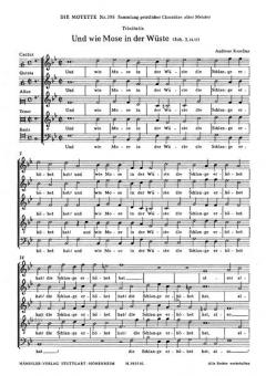 Und wie Mose in der Wüste (Andreas Raselius) 