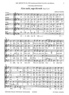 Also auch, sage ich euch (Andreas Raselius) 