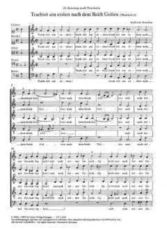 Trachtet am ersten nach dem Reich Gottes (Andreas Raselius) 