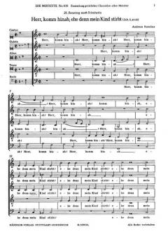 Herr, komm hinab, ehe denn mein Kind stirbt (Andreas Raselius) 