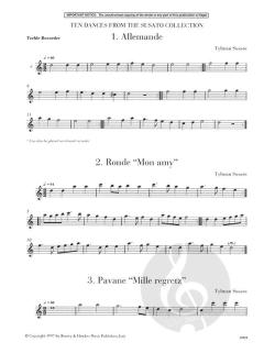 The Renaissance Recorder (Steve Rosenberg) 