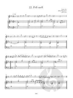 The Renaissance Recorder (Steve Rosenberg) 