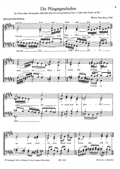 Die Pfingstgeschichte (Martin Doernberg) 