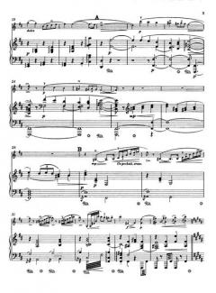 Serenade (Nr.1) D-Dur op. 69a von Jean Sibelius 