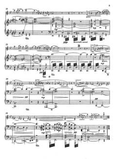 Serenade (Nr. 2) g-moll op. 69b von Jean Sibelius 