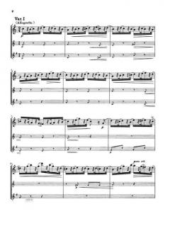 Variationen über W.A. Mozarts Là ci darem la mano WoO 28 von Ludwig van Beethoven 