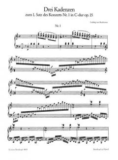 8 Original-Kadenzen zu den Klavierkonzerten Nr.1, 2, 3 und 4 von Ludwig van Beethoven im Alle Noten Shop kaufen
