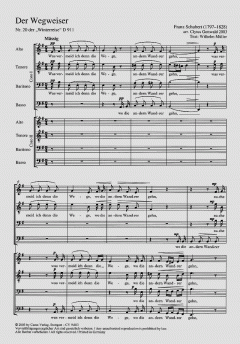 Der Wegweiser D911 (Franz Schubert) 