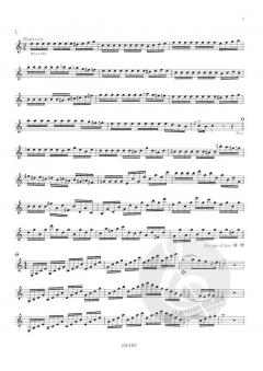 75 Etüden von Ludwig Wiedemann 