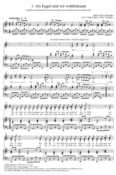 Großer Stern, was nun? (Peter Schindler) 