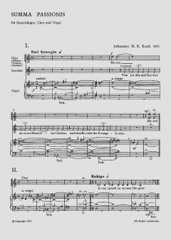 Summa passionis (Johannes Hermann Ernst Koch) 