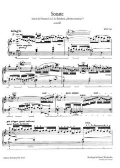 Sämtliche Klavierwerke Band 25 von Egon Petri im Alle Noten Shop kaufen