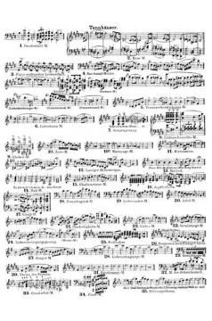 Tannhäuser und der Sängerkrieg auf der Wartburg WWV 70 (Richard Wagner) 