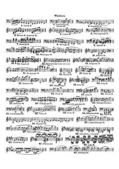 Die Walküre WWV 86 B von Richard Wagner 