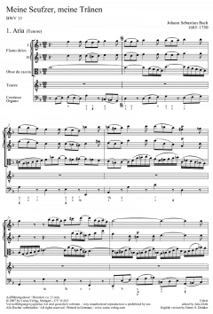 Meine Seufzer, meine Tränen (Download) 