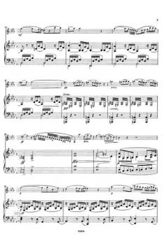 Adagio in Des-Dur von Richard Wagner für Klarinette und Streicher (früher Richard Wagner zugeschrieben) im Alle Noten Shop kaufen