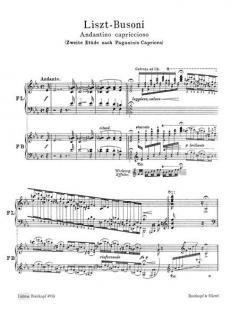 6 Etuden nach Paganini Nr. 2 von Franz Liszt 