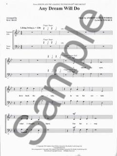 Sing With The Choir Vol. 1: Andrew Lloyd Webber (Andrew Lloyd Webber) 