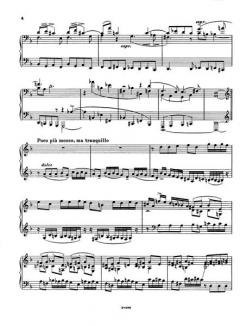Sonatina brevis von Ferruccio Busoni 