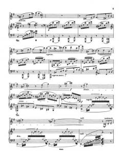 2. Sonate e-moll op. 36a von Ferruccio Busoni 