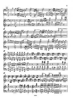 Duettino Concertante von Ferruccio Busoni 