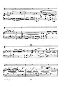 Divertimento B-Dur op. 52 von Ferruccio Busoni 