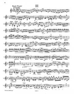 Hausmusik Duett Nr. 1 op. 26/1 (Adolf Busch) 