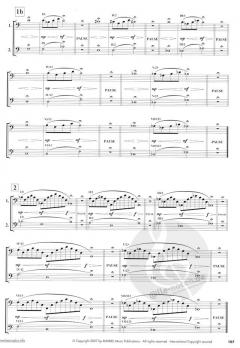 Basics Plus (Wolfgang Guggenberger) 