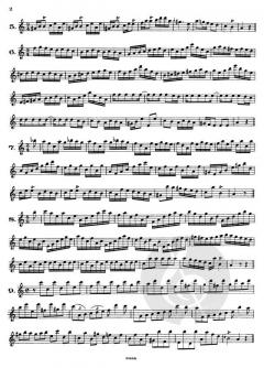 Das Flötenbuch Friedrichs des Großen von Schwarz-Reiflin im Alle Noten Shop kaufen