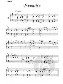 Piano For Two Vol. 1 von Daniel Hellbach 