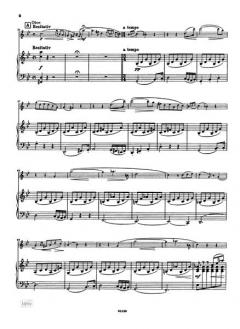 Concertino g-moll von Wilhelm Bernhard Molique 