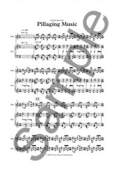 Pillaging Music (Nico Muhly) 