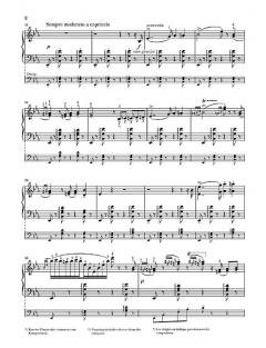 Ungarische Rhapsodie Nr. 9 von Franz Liszt 